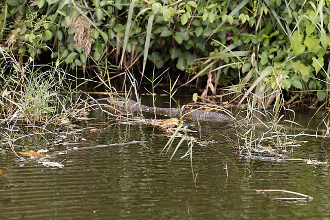 Muang Boran-2013-099